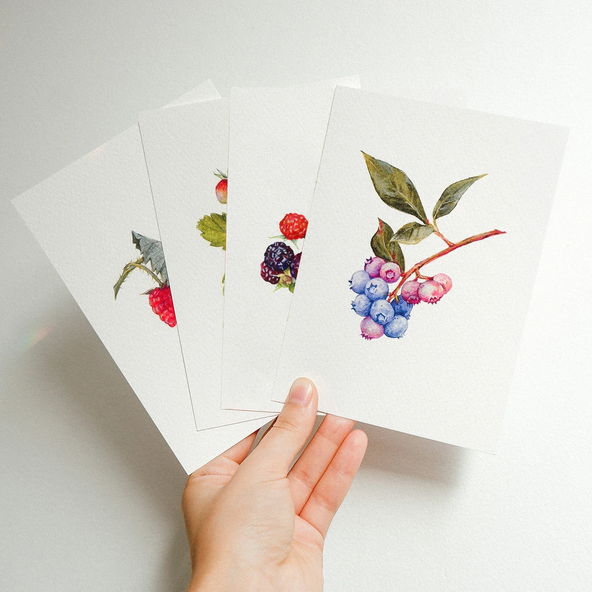 Berries – Postcard Set