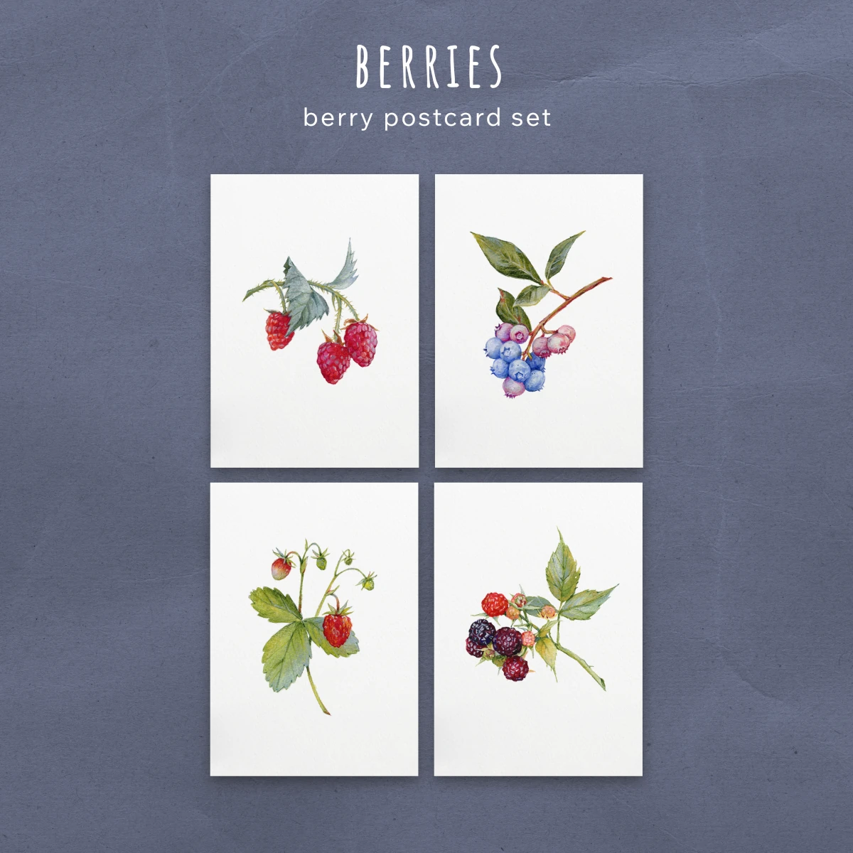 Bayas – Set de Postales