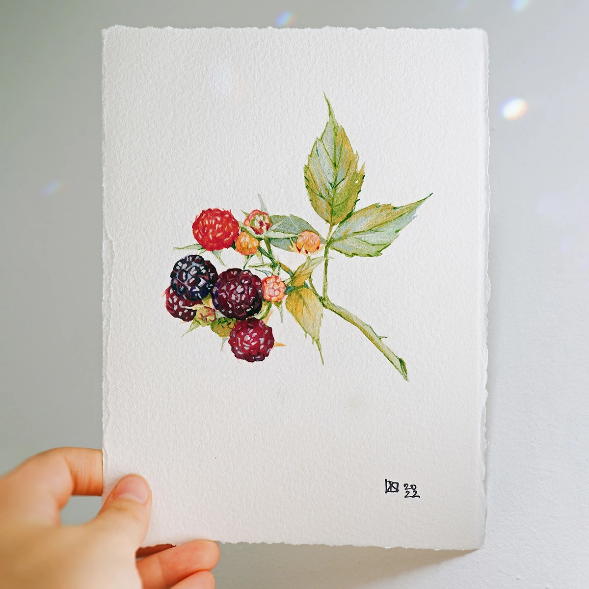 Pintura original zarzamora