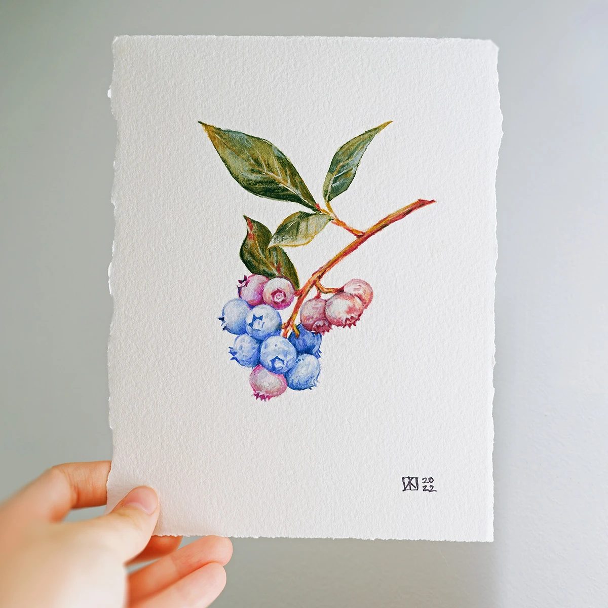 Blueberry – Original Watercolor Painting