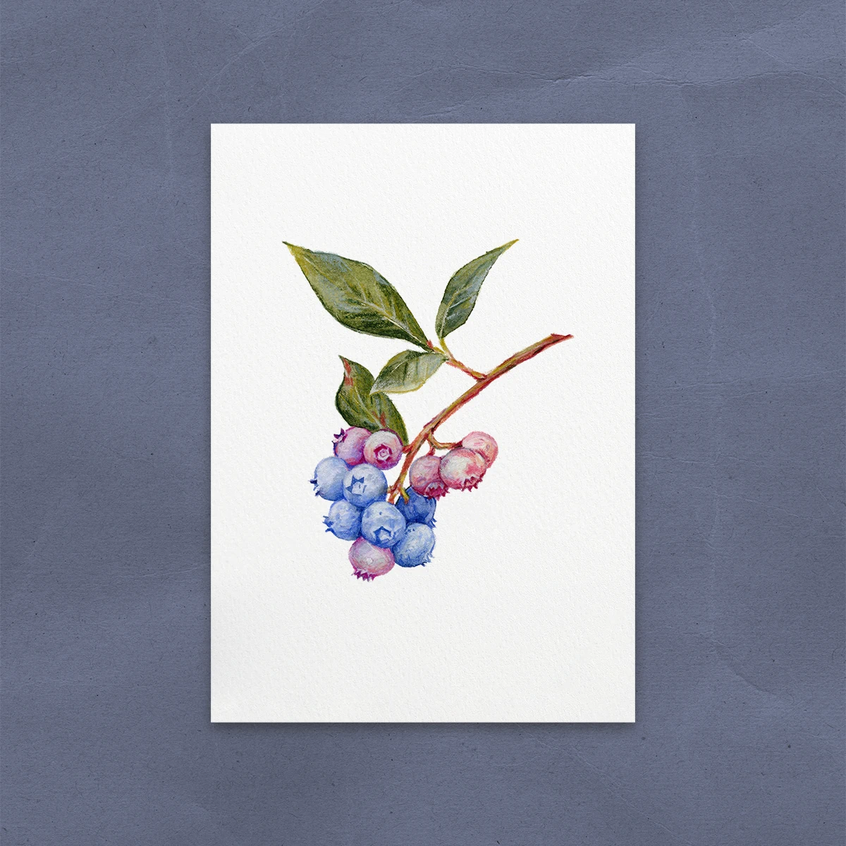 Postal de Arándanos