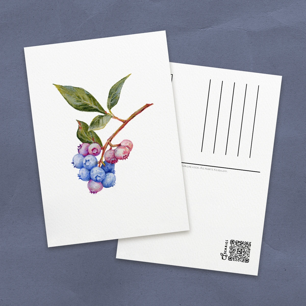 Blueberry Postcard
