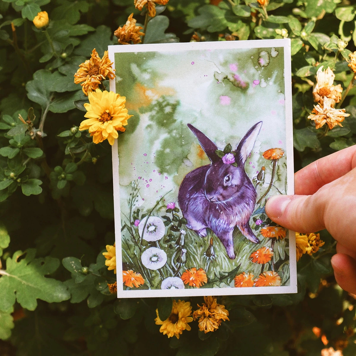 Postal Conejo Entre Amargones