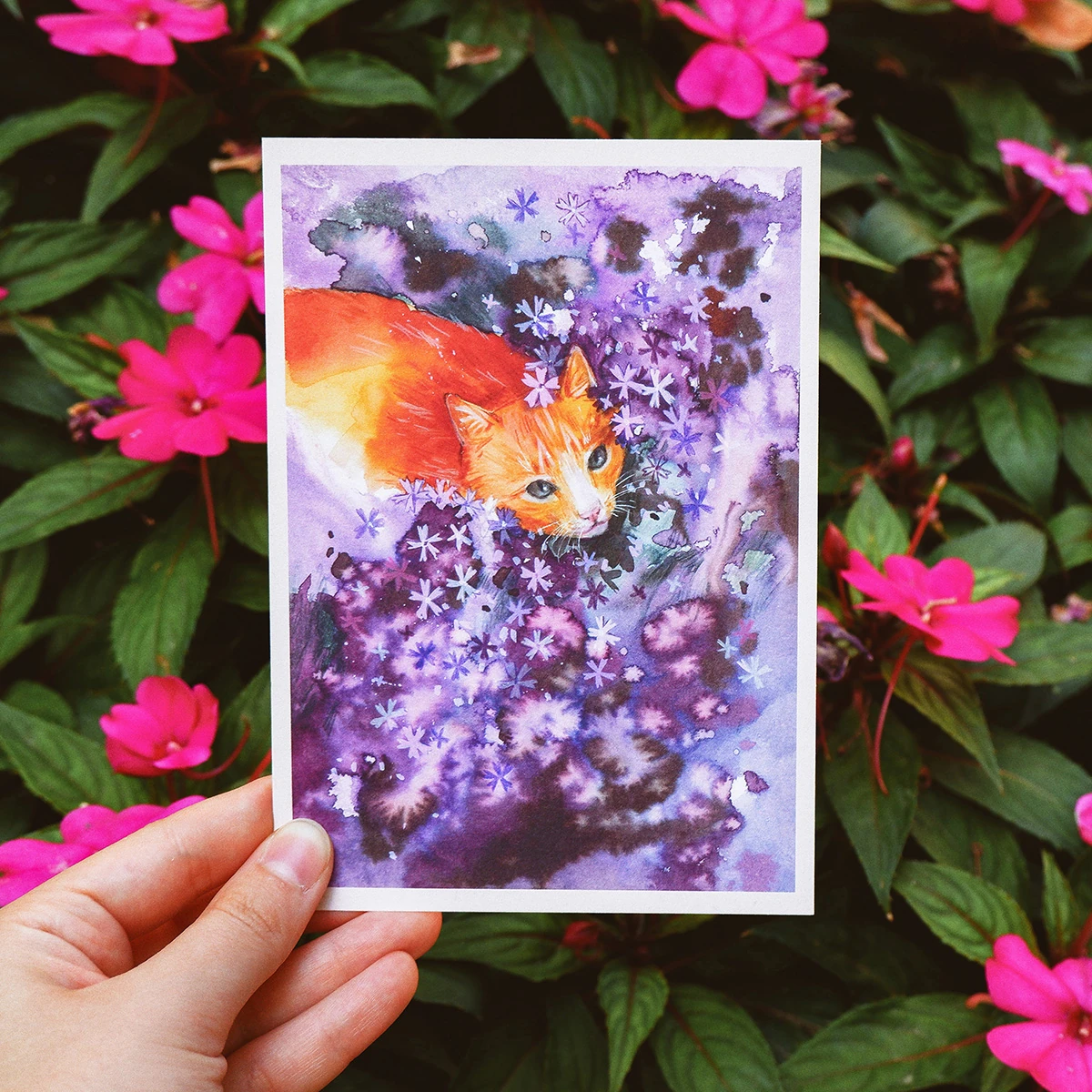 Postal Gato en Jardín de Geranios