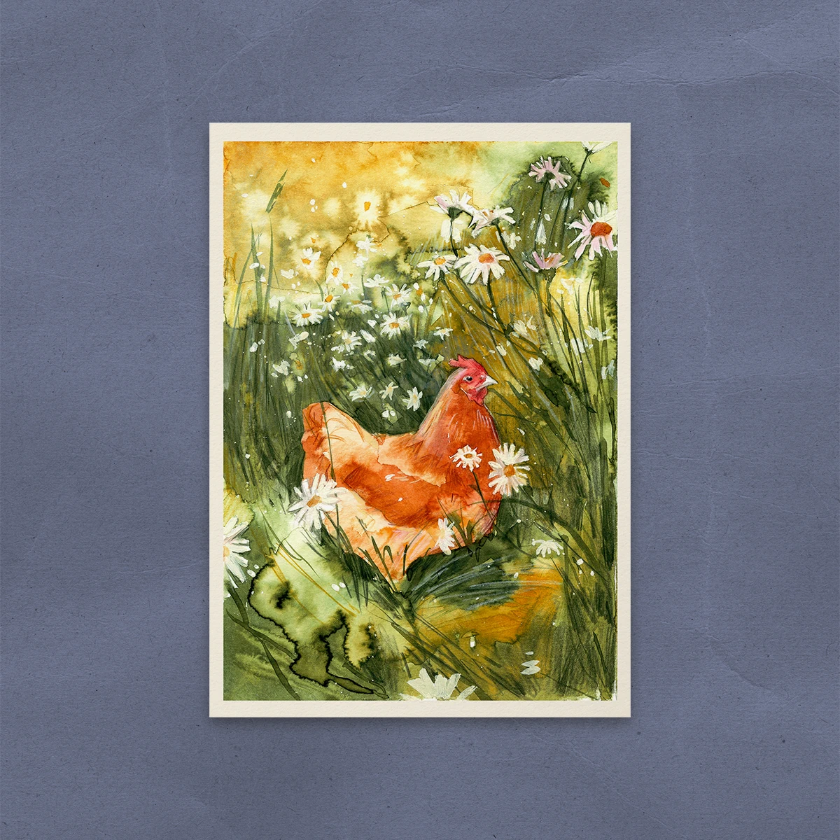 Gallina en un Campo de Margaritas