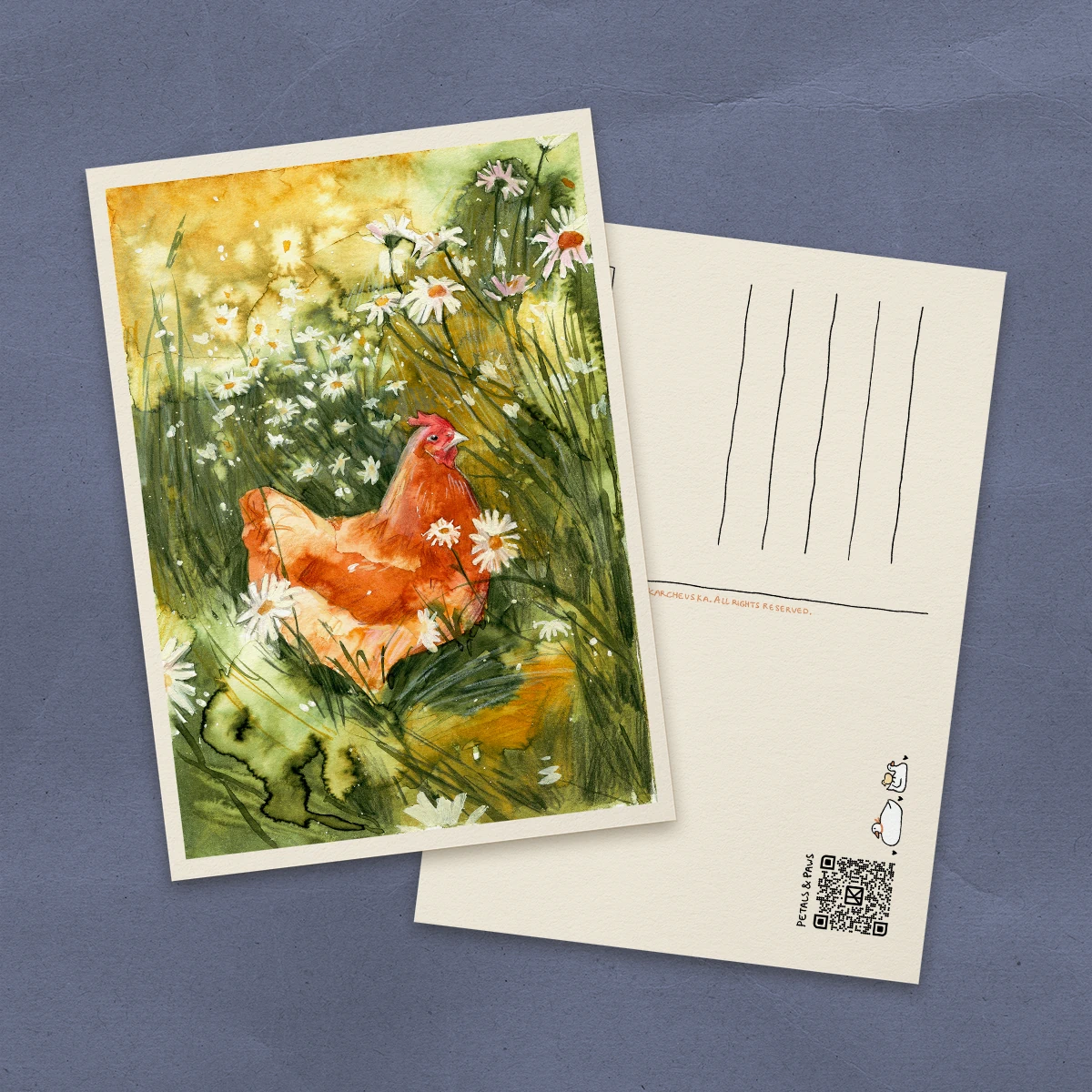 Gallina en un Campo de Margaritas