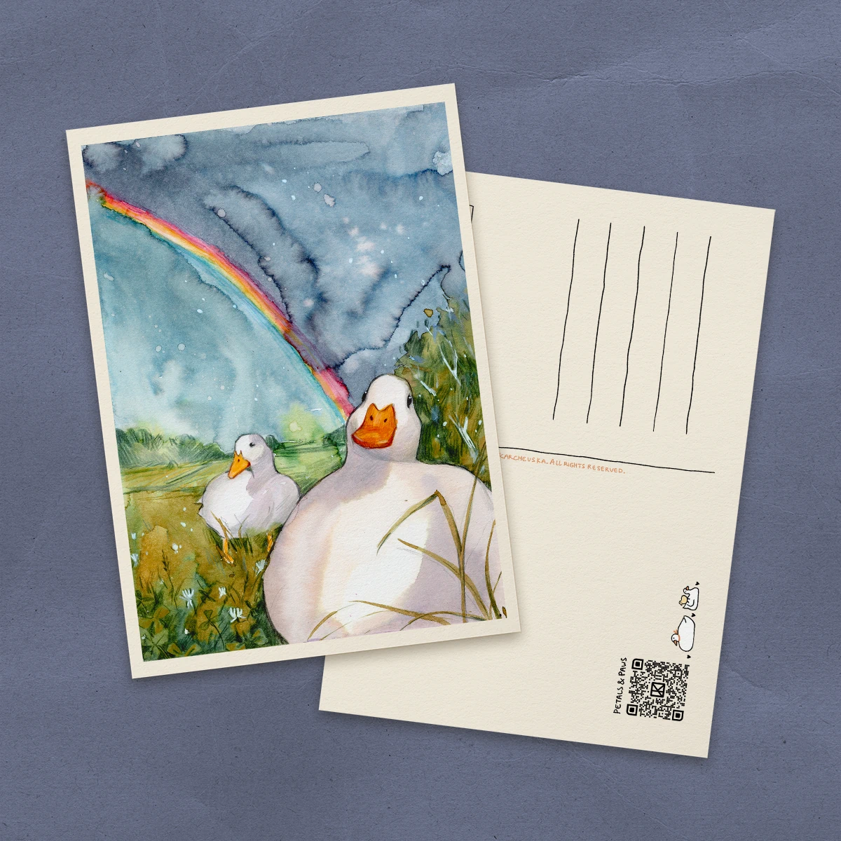 Ducks Under Rainbow Postcard