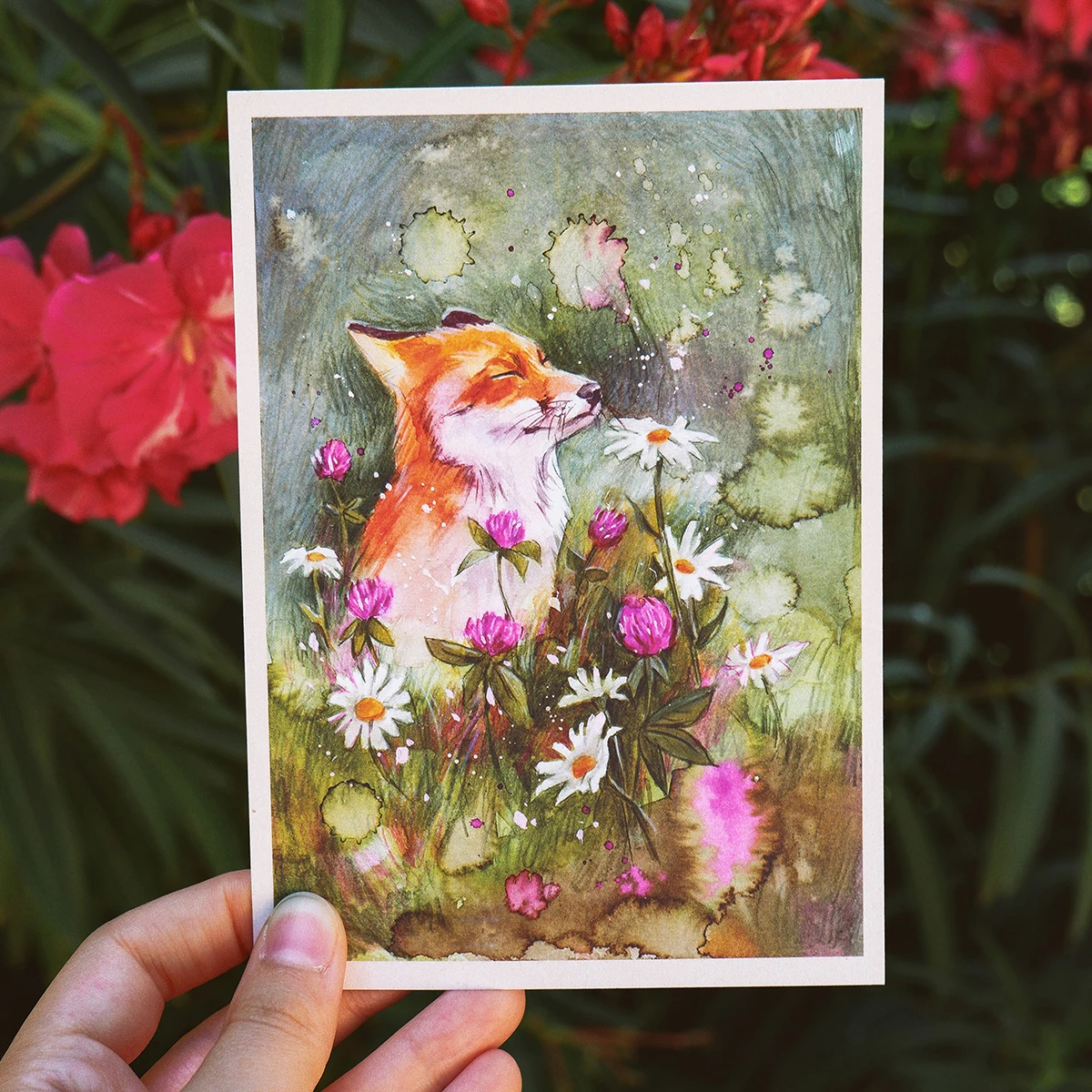 Postal Zorro en la Pradera