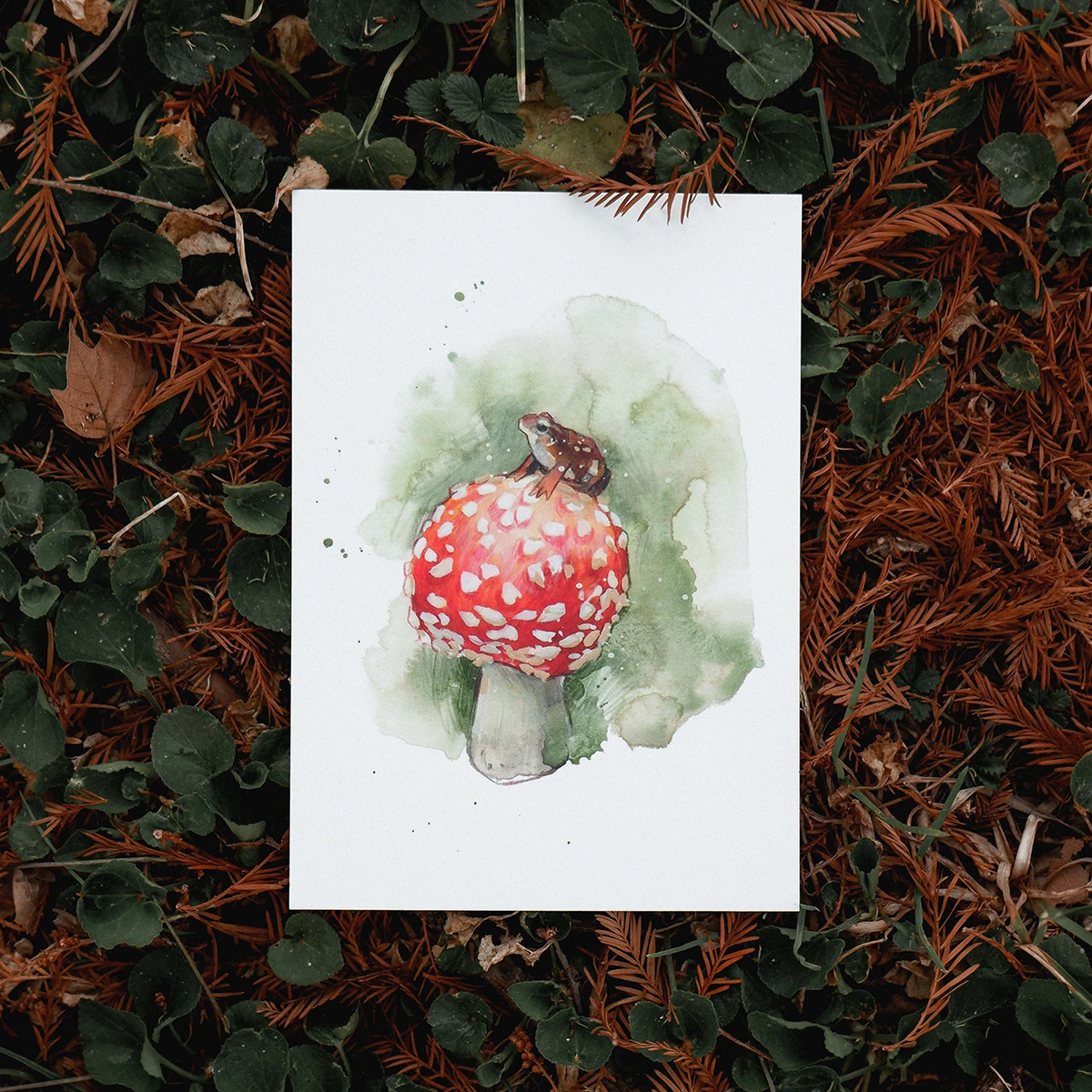 Postal Rana sobre Seta