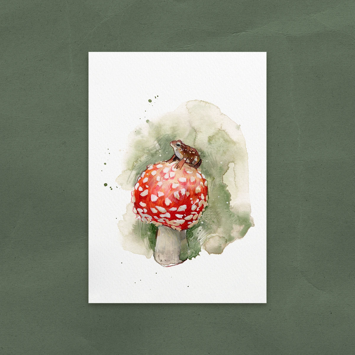 Postal Rana sobre Seta