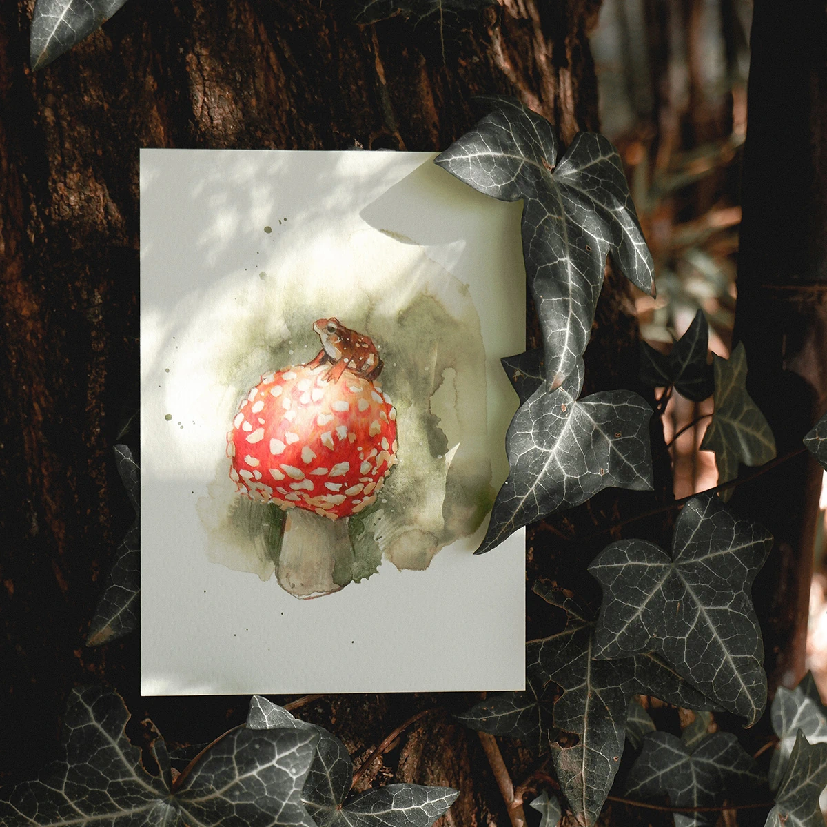 Postal Rana sobre Seta