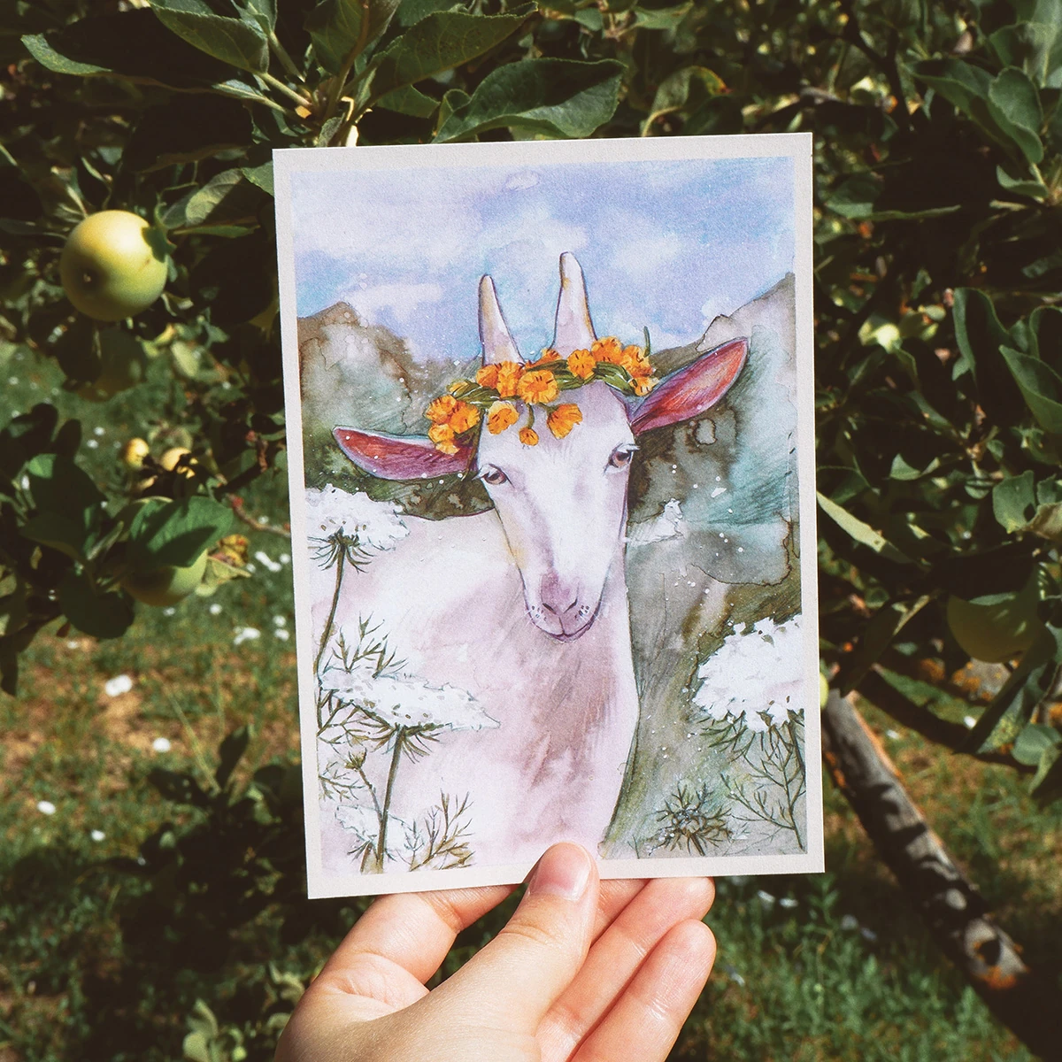 Postal Cabra con Corona de Amargón