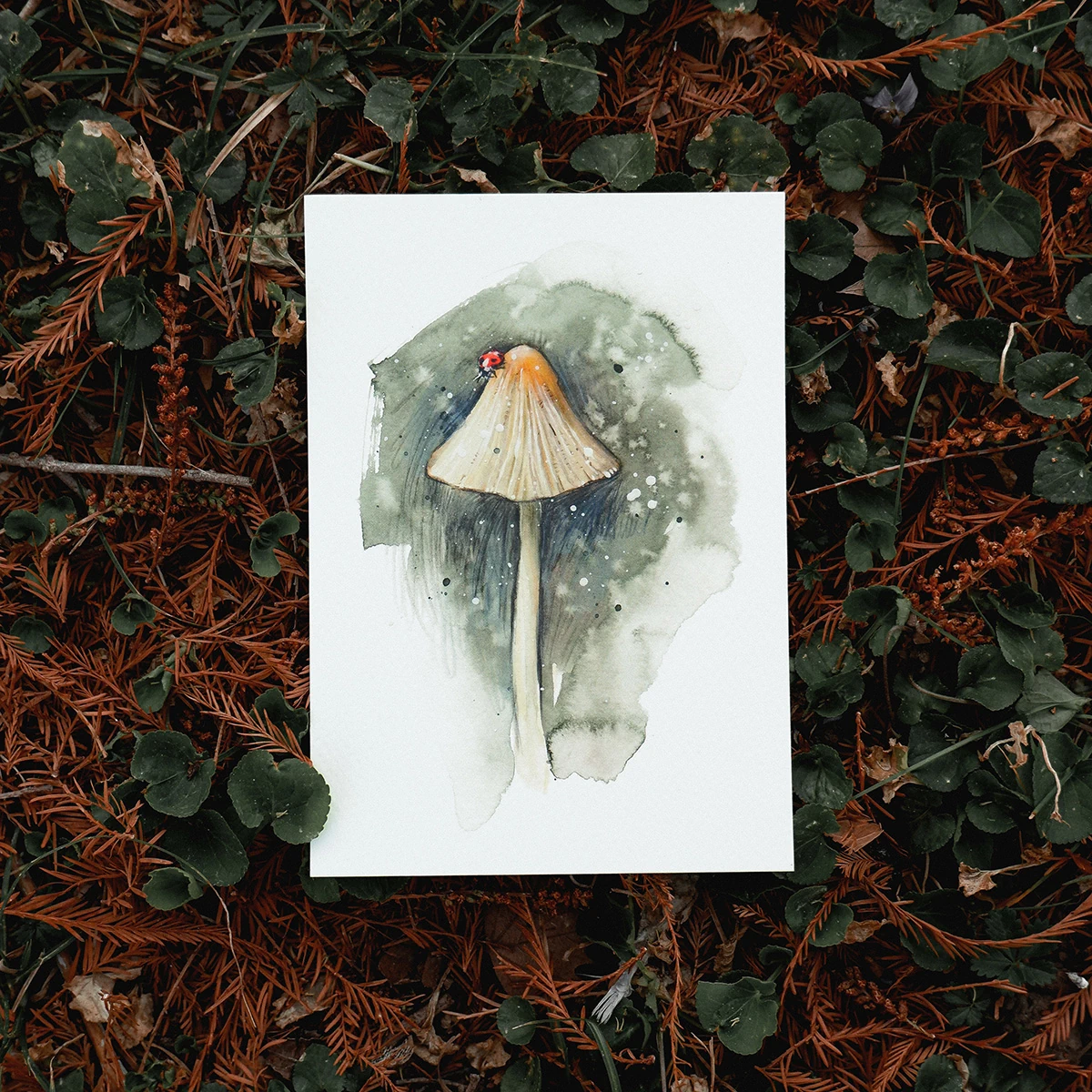 Postal Mariquita sobre Seta