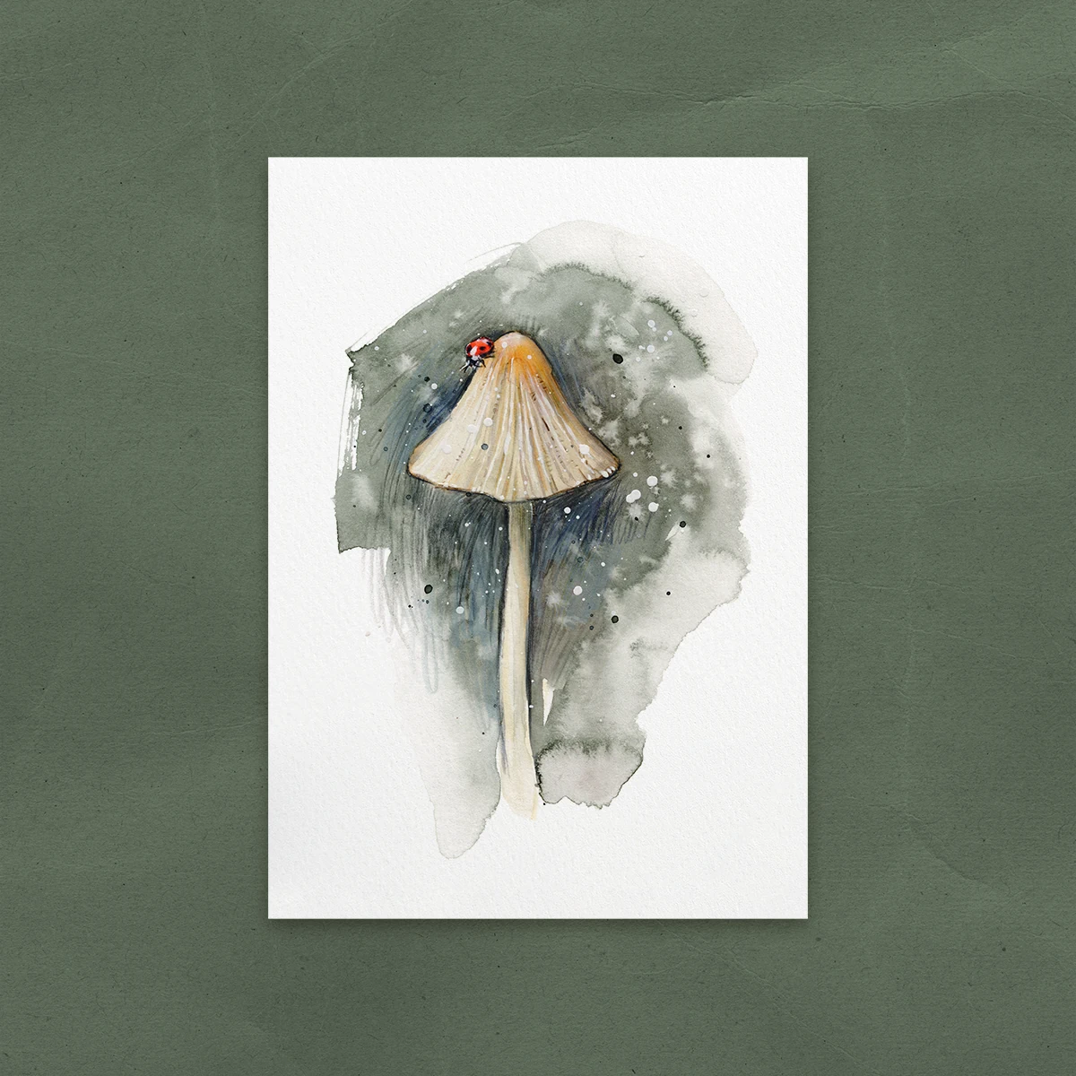 Postal Mariquita sobre Seta