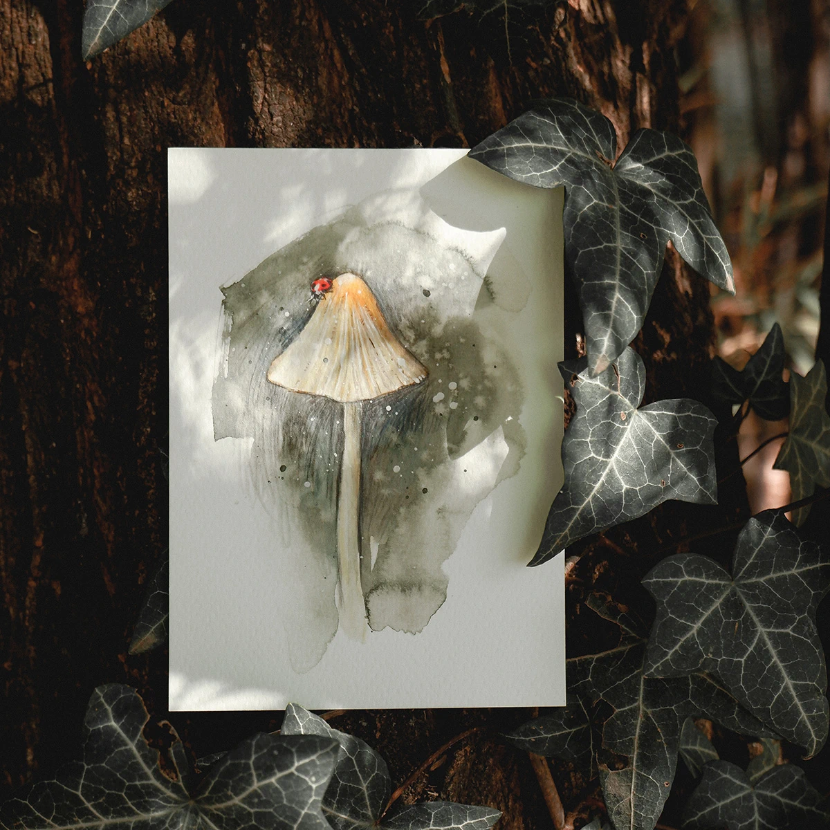 Postal Mariquita sobre Seta