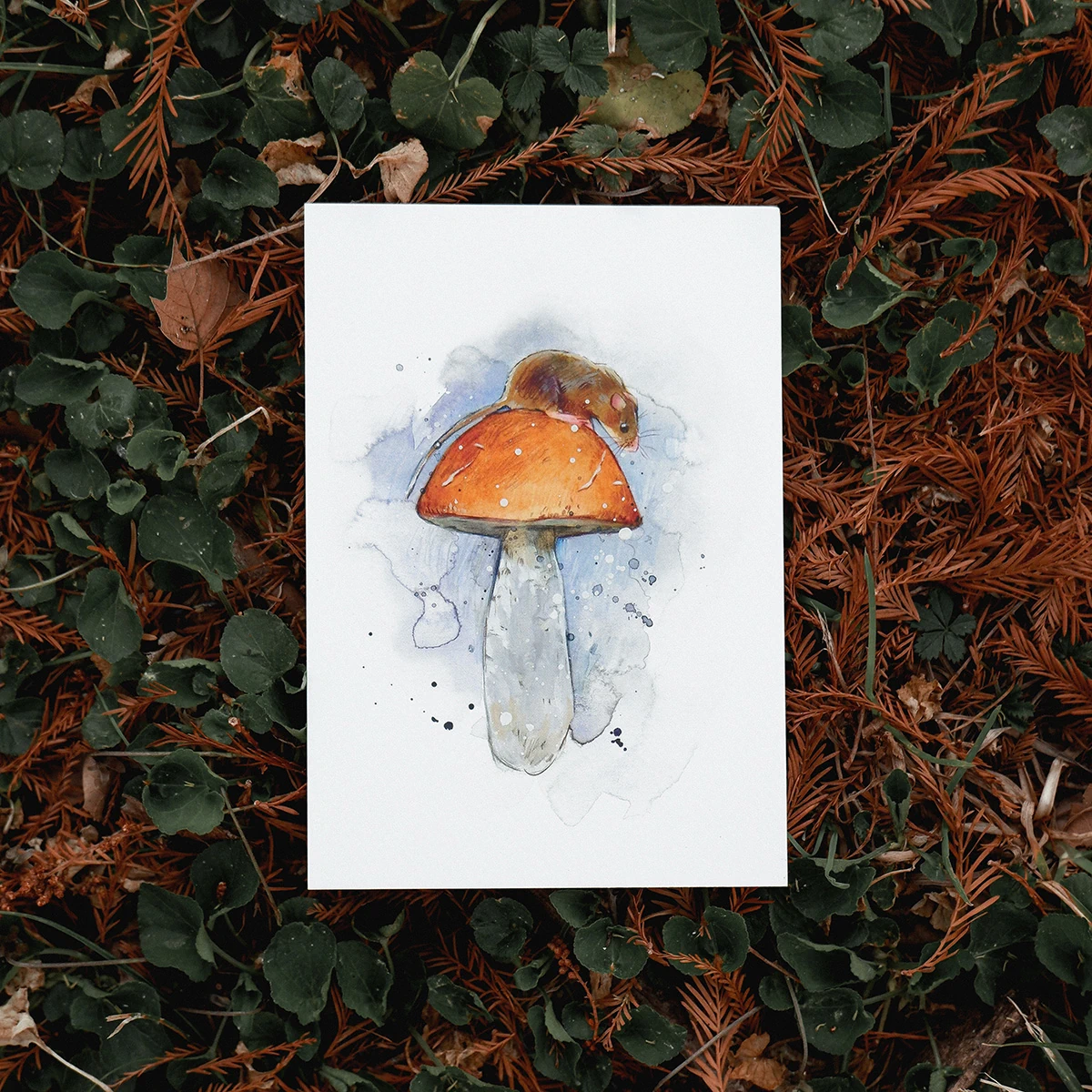 Postal Ratón sobre Seta