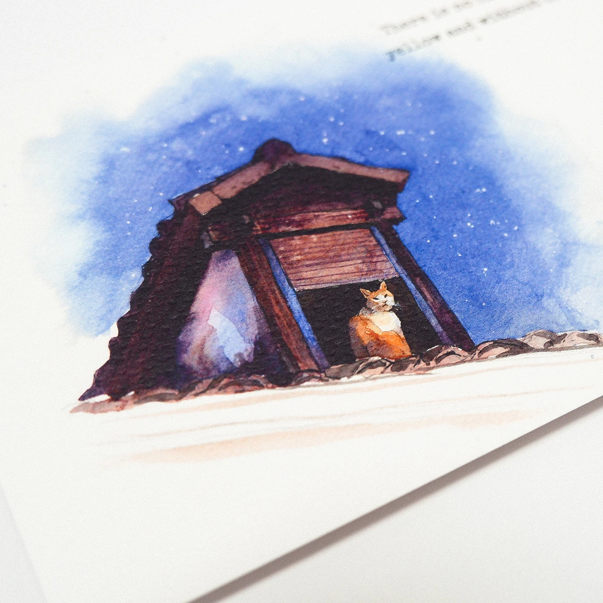 Postal de gato naranja