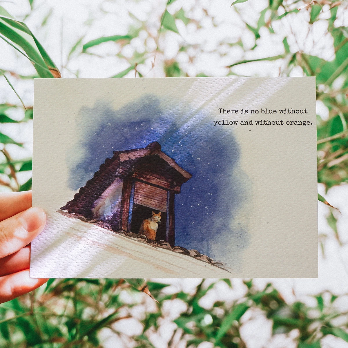 Postal de gato naranja