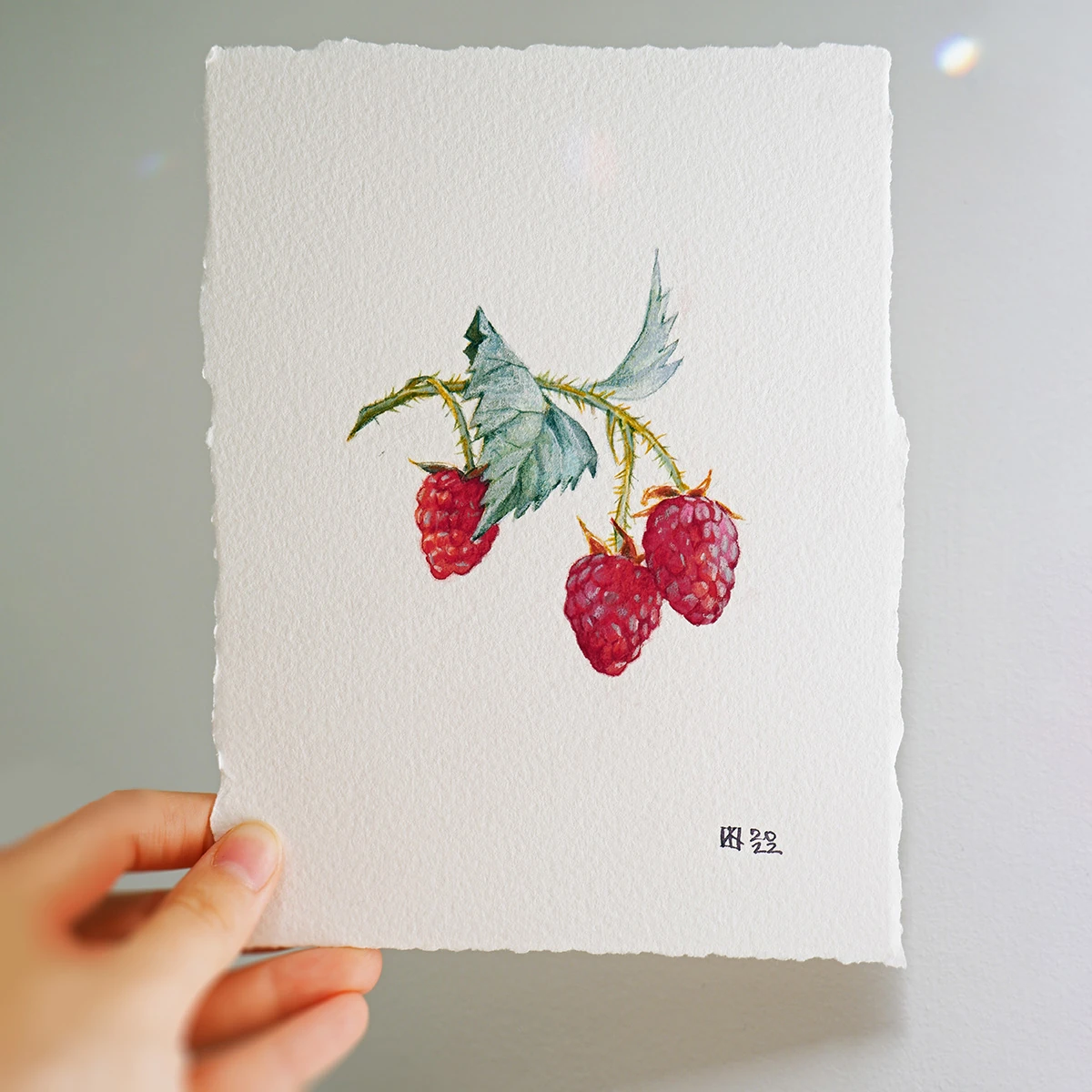 Pintura original frambuesa