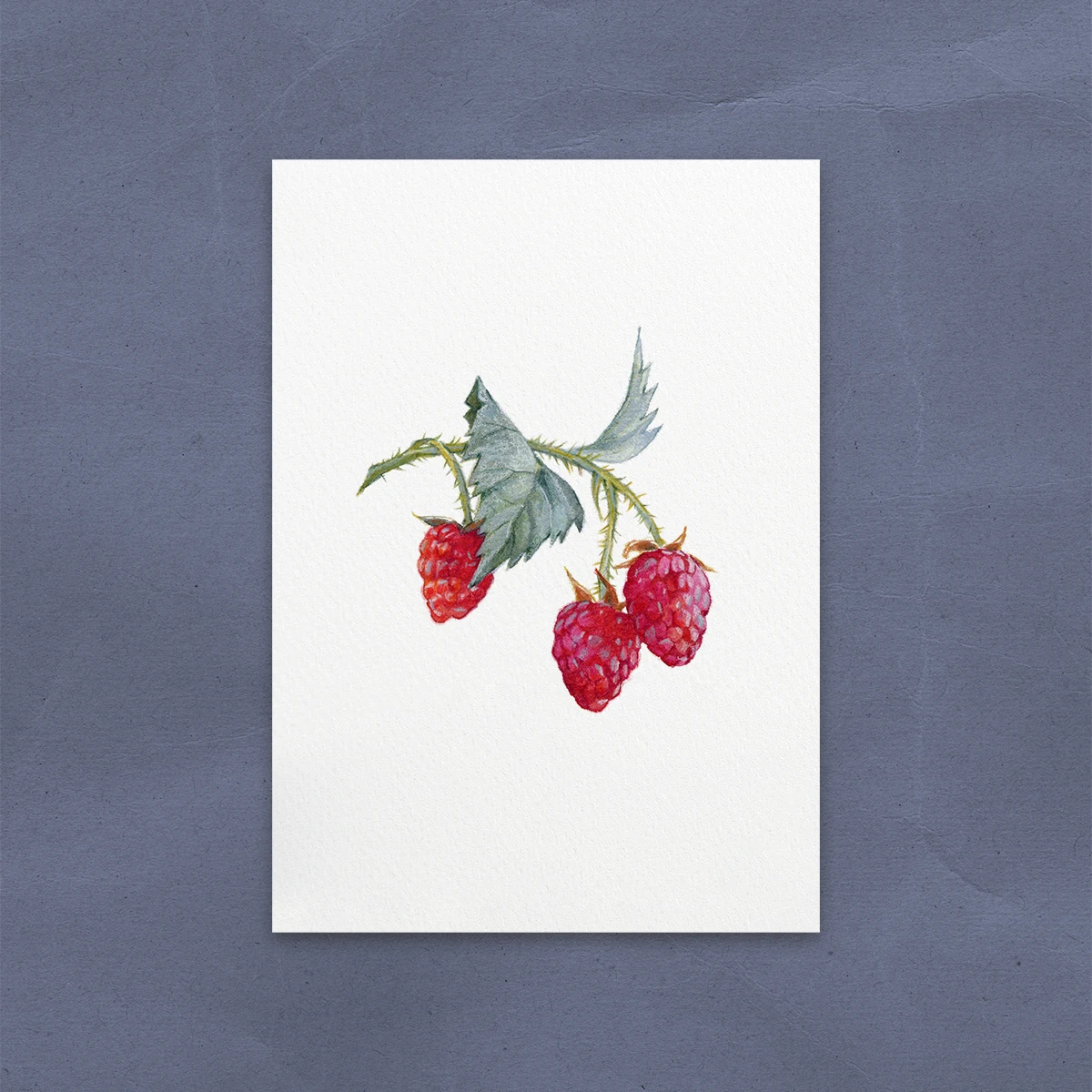 Postal de Frambuesas