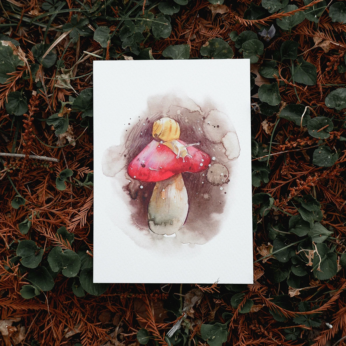 Postal Caracol sobre Seta