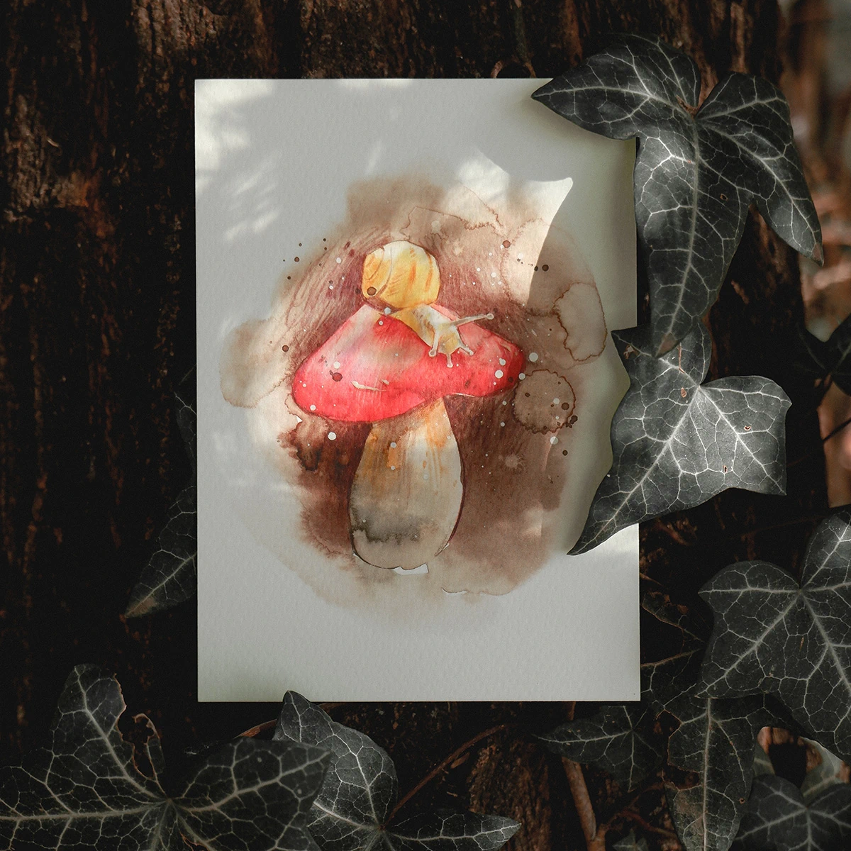 Postal Caracol sobre Seta