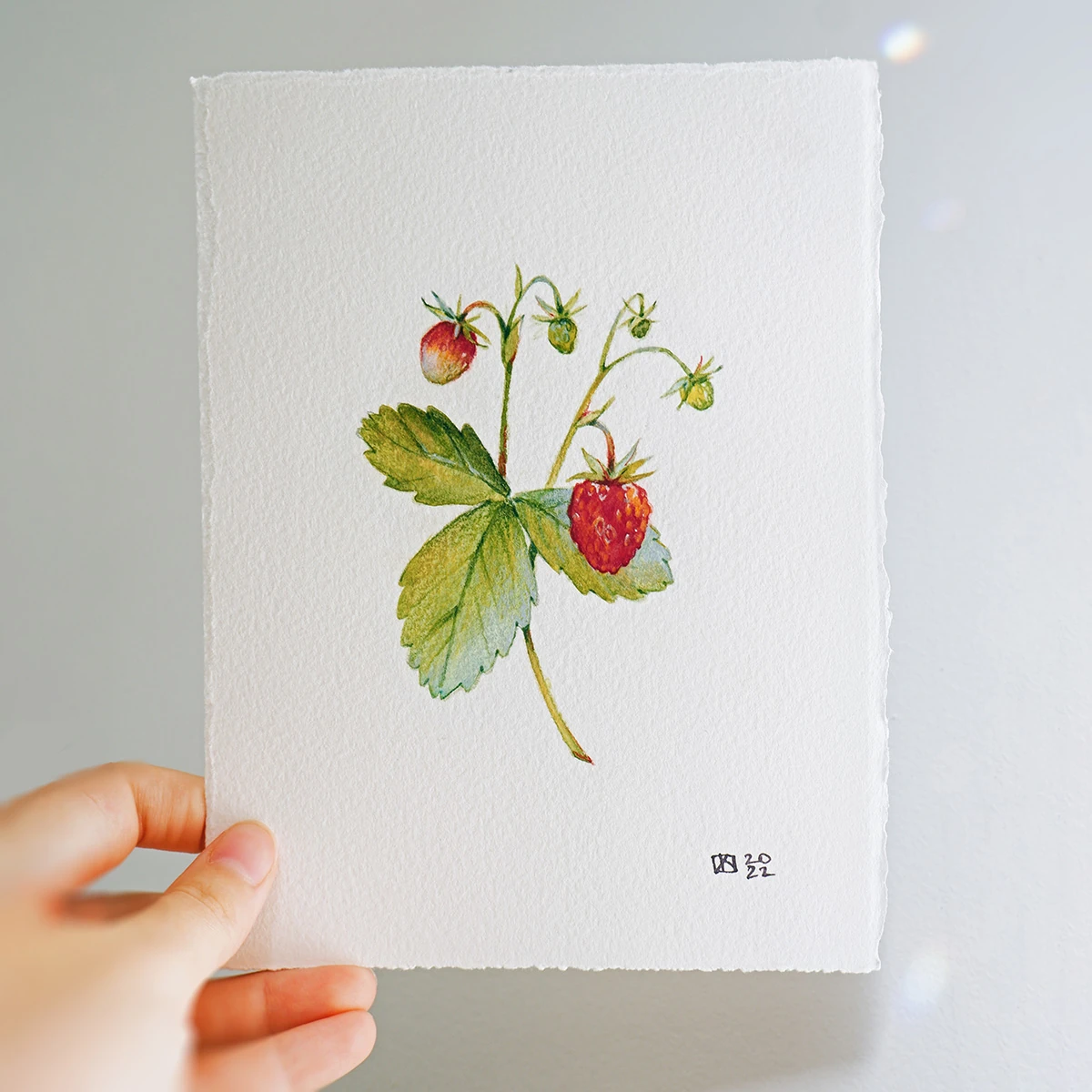 Strawberry – Original Watercolor Painting